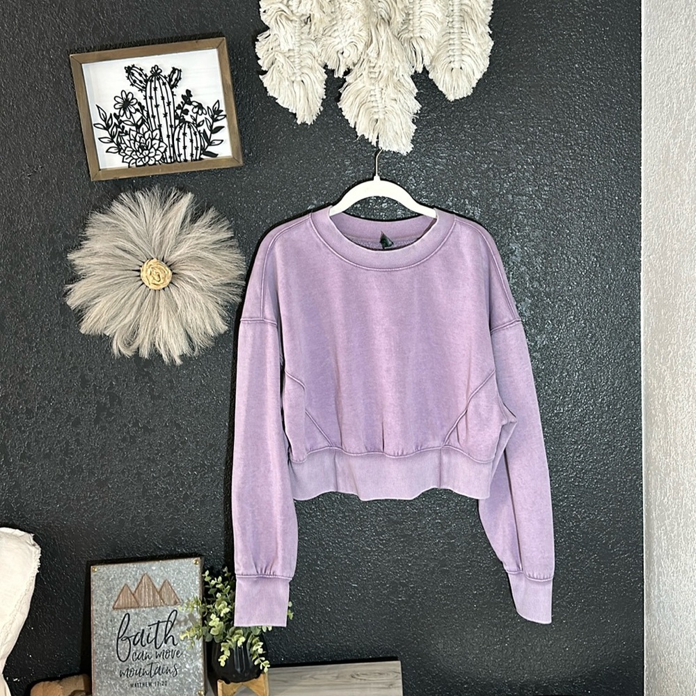 Wild fable lavender crop top pull over